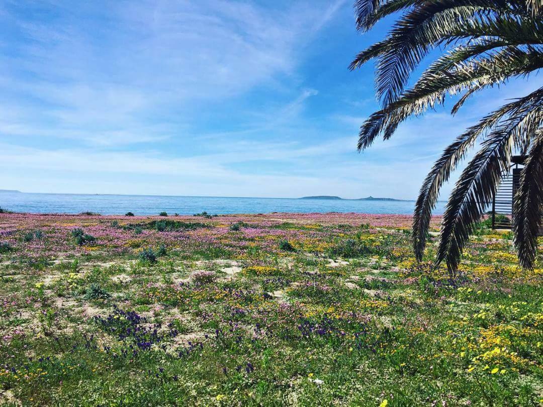 Affittacamere Al Mare Oristano Exterior photo